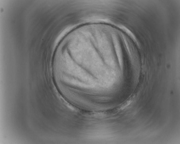 X0000075821191200610061749