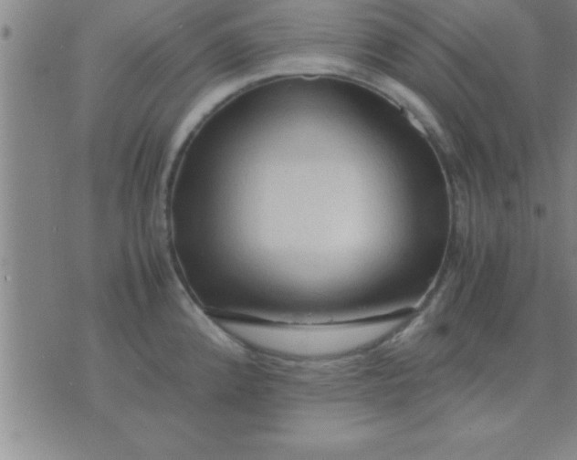 X0000075821192200610061749