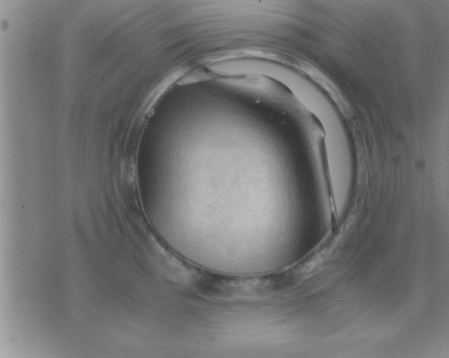 X0000075821193200610061749