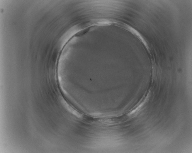 X0000075821194200610061749