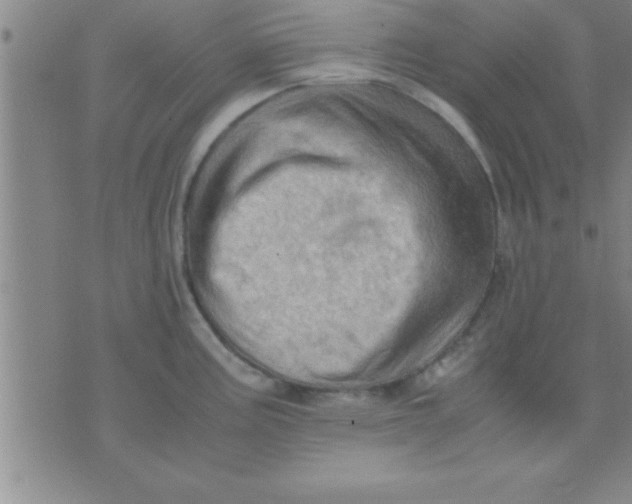 X0000075821195200610061749