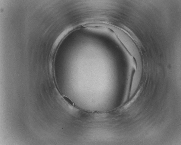 X0000075821196200610061749