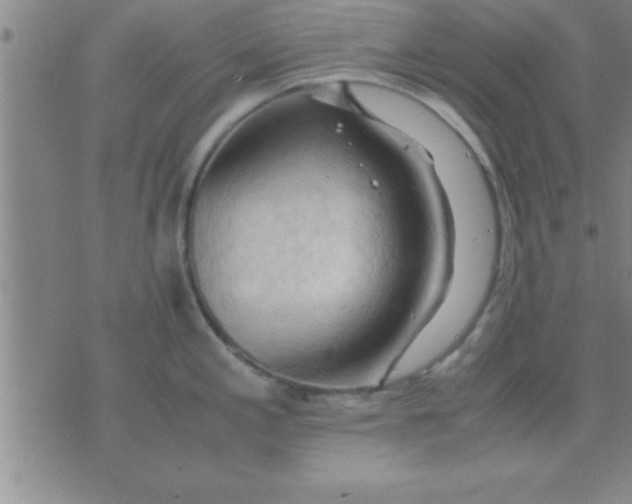 X0000075821197200610061749