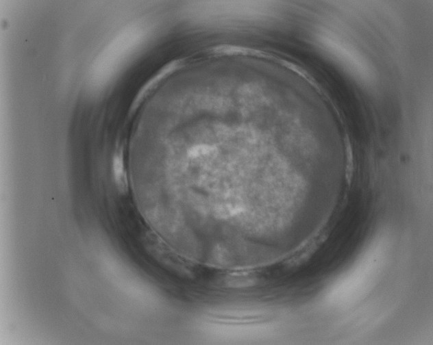 X0000075821198200610061749