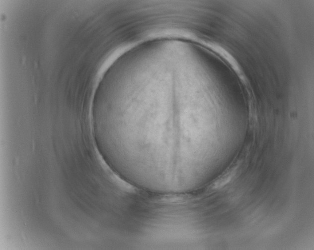 X0000075821199200610061749