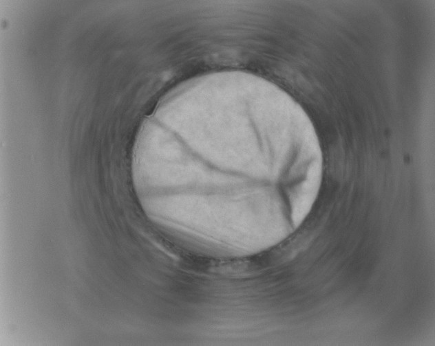 X0000075821201200610061748