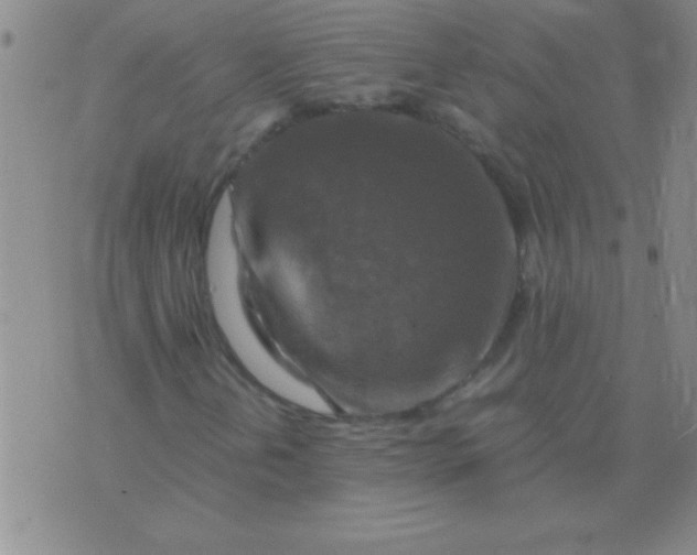 X0000075821202200610061748