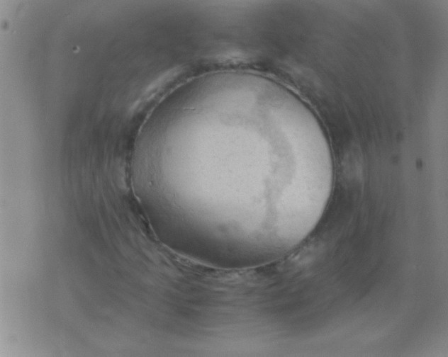 X0000075821205200610061748