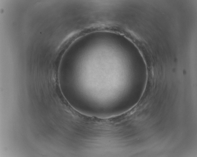 X0000075821206200610061748