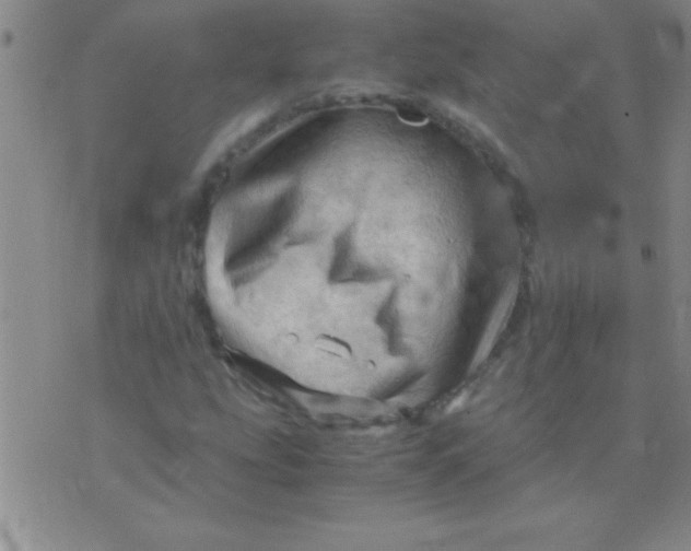 X0000075821207200610061748