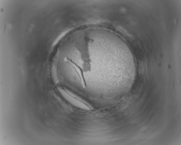 X0000075821208200610061748