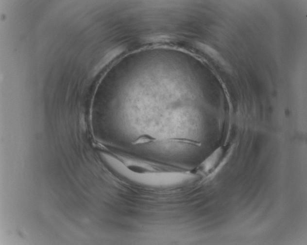 X0000075821209200610061748