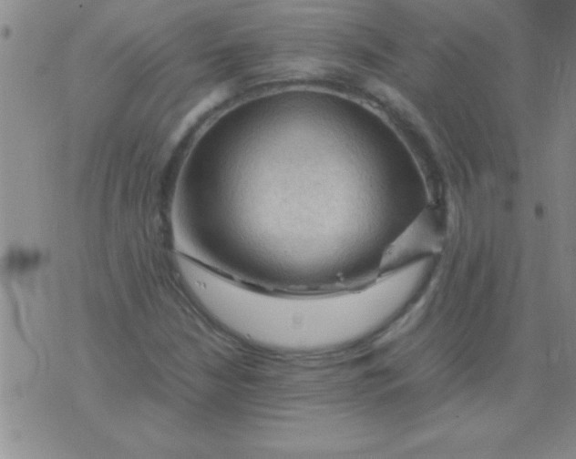 X0000075821210200610061748