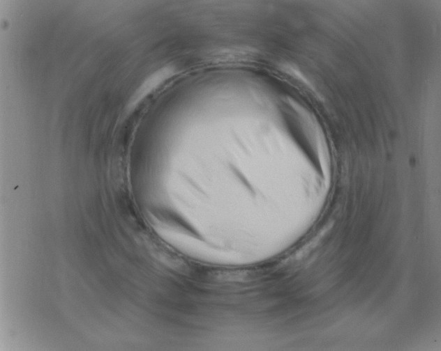 X0000075821211200610061748