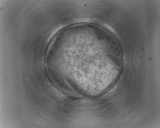 X0000075821212200610061748