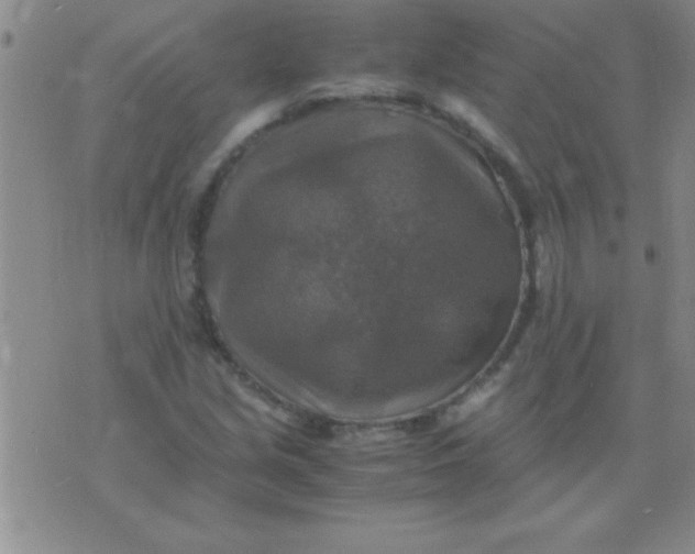 X0000075821213200610061748