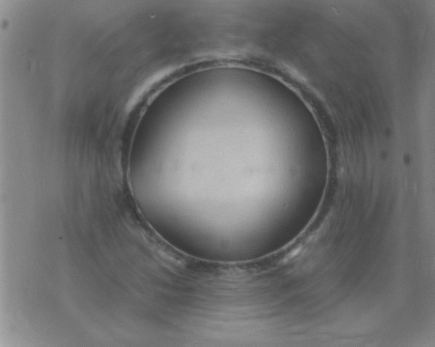 X0000075821214200610061748