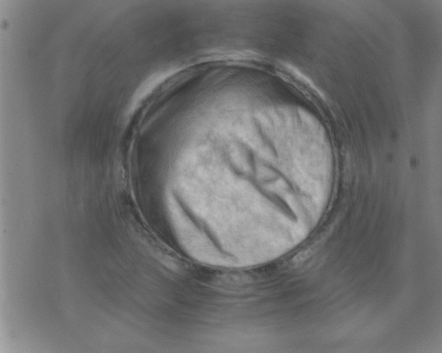 X0000075821215200610061748