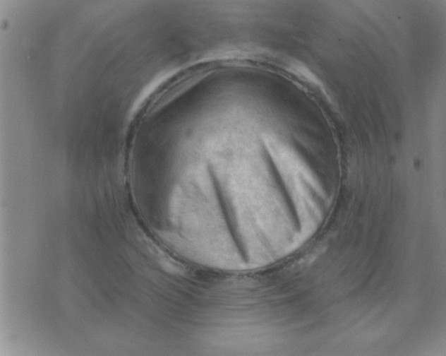 X0000075821216200610061748