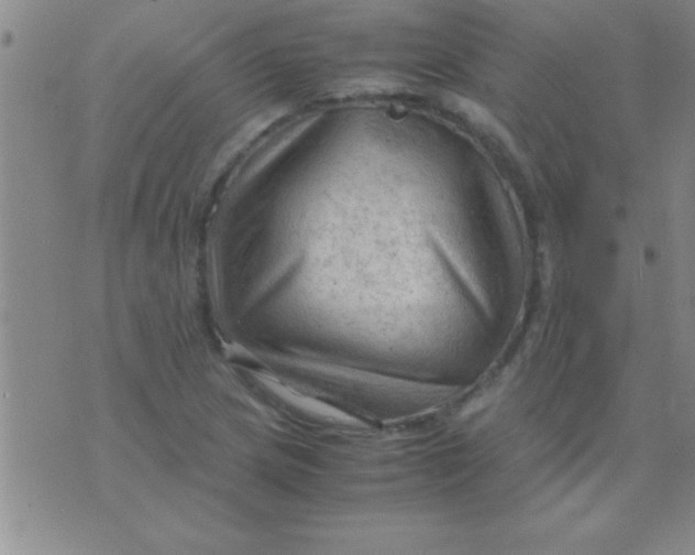 X0000075821217200610061748