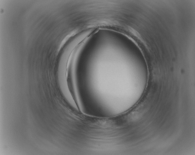 X0000075821218200610061748