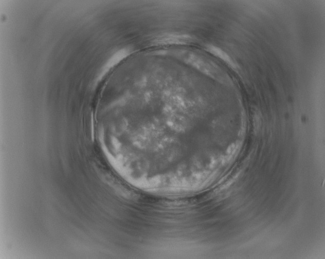 X0000075821219200610061748