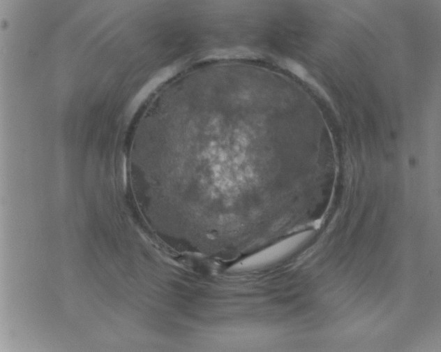 X0000075821221200610061748