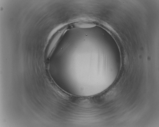 X0000075821222200610061748