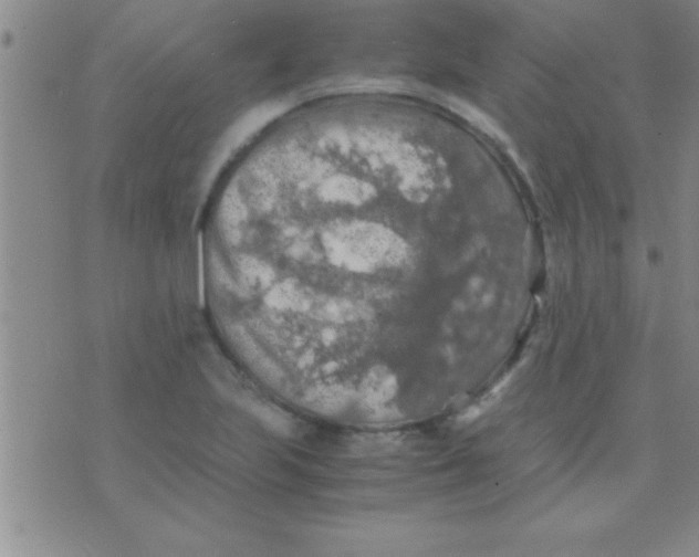 X0000075821223200610061748