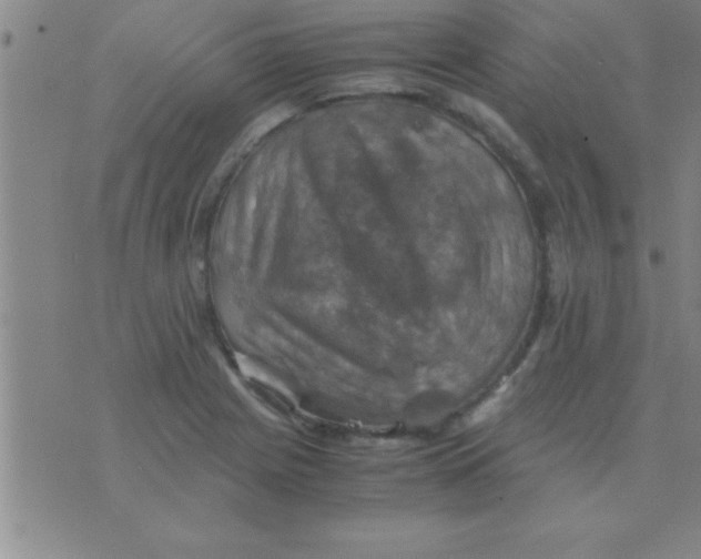 X0000075821225200610061748