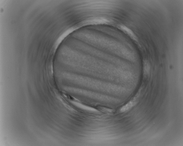 X0000075821226200610061748