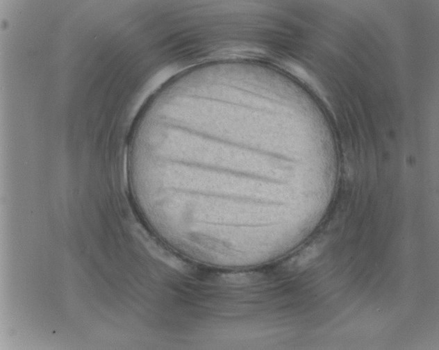 X0000075821227200610061748