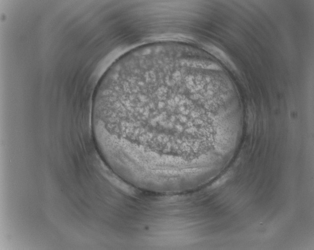 X0000075821228200610061748