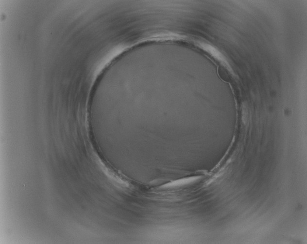 X0000075821229200610061748