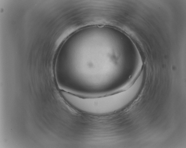 X0000075821230200610061749