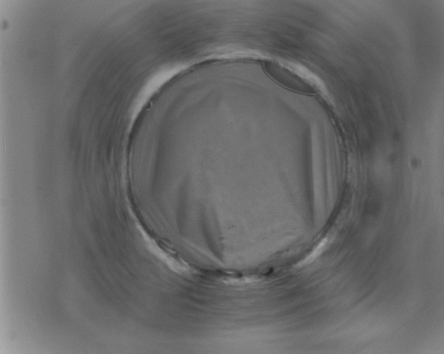 X0000075821231200610061749