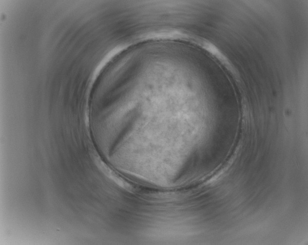 X0000075821232200610061749