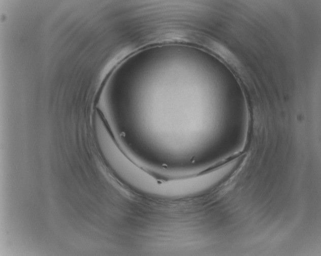 X0000075821234200610061749