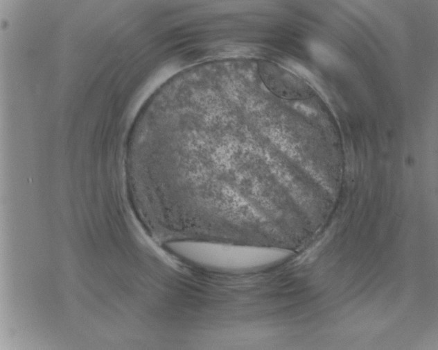 X0000075821235200610061749