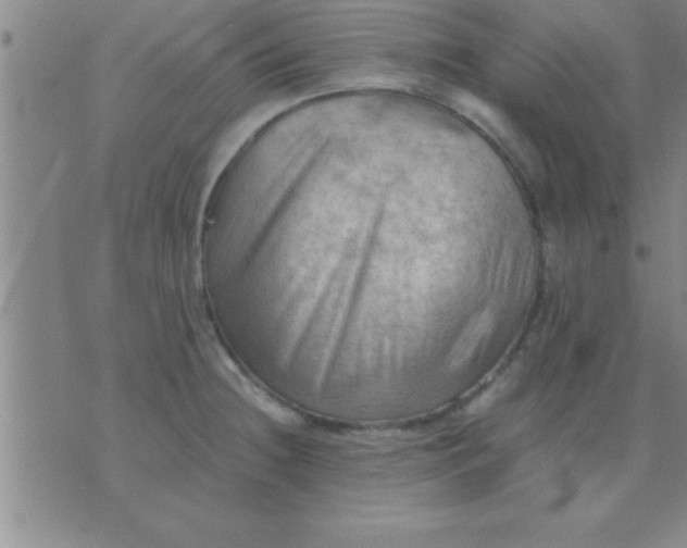 X0000075821236200610061749