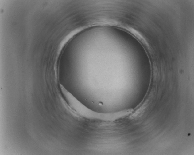 X0000075821238200610061749