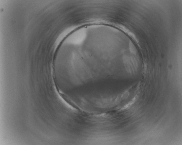 X0000075821239200610061749