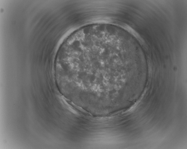 X0000075821240200610061749