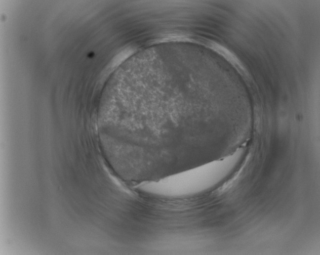 X0000075821241200610061749