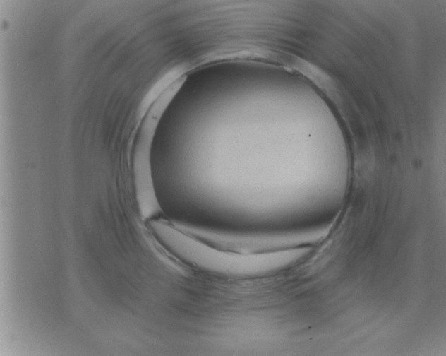 X0000075821242200610061749