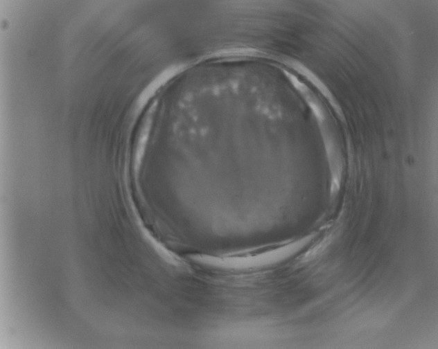 X0000075821245200610061749