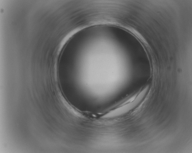 X0000075821246200610061749