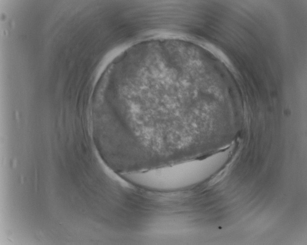 X0000075821247200610061749