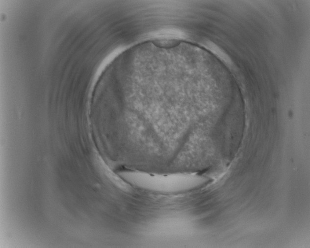 X0000075821248200610061749