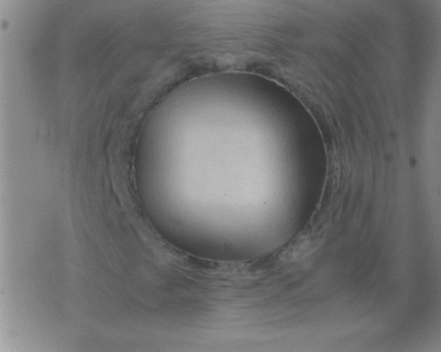 X0000075821249200610061748